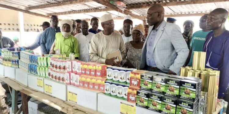 Tchad: Mission de supervision du Ministre de l’Élevage à Koumra