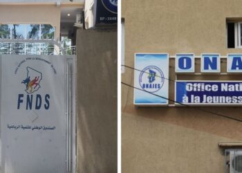 Tchad : Création d’une Commission pour le Reversement des Agents de l’ONAJES et du FNDS à la Fonction Publique
