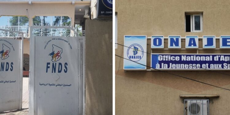 Tchad : Création d’une Commission pour le Reversement des Agents de l’ONAJES et du FNDS à la Fonction Publique