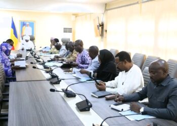 Tchad : Le ministre de la Santé mobilise son staff pour renforcer la gratuité des soins