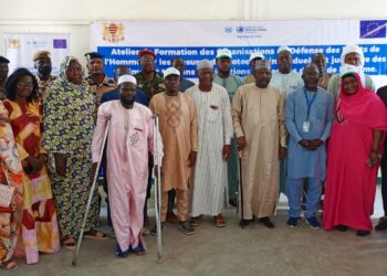 Guera : Le HCDH forme les OSCDDH sur la protection des victimes et témoins des violations des droits humains