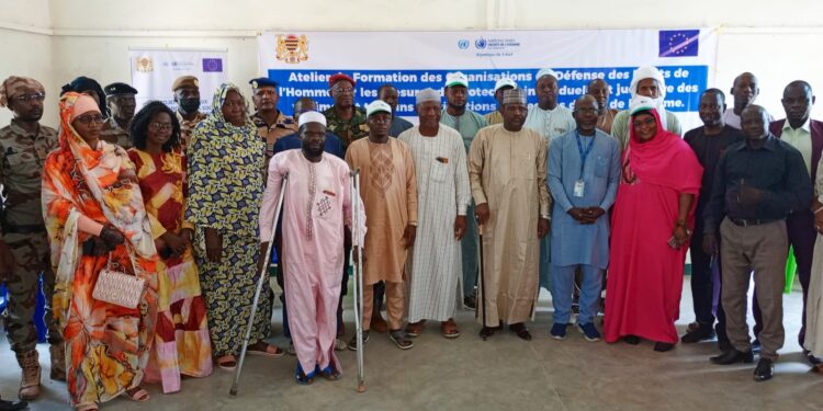 Guera : Le HCDH forme les OSCDDH sur la protection des victimes et témoins des violations des droits humains