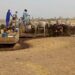 Tchad : L&rsquo;élevage, un moteur essentiel du développement