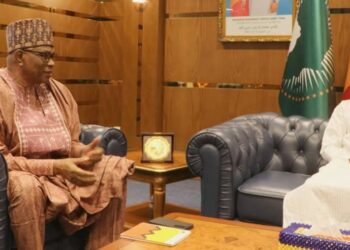 Diplomatie : Tchad et Cameroun renforcent leurs liens à travers un dialogue constructif