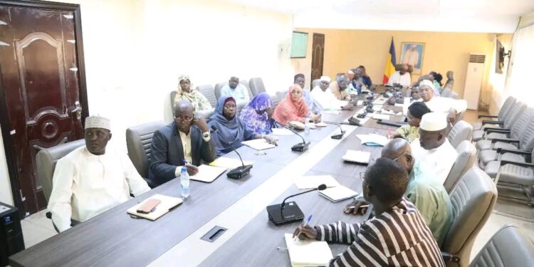 Tchad : Une Réunion Clé pour Garantir le Succès de la 29ème Revue Annuelle du Secteur de la Santé