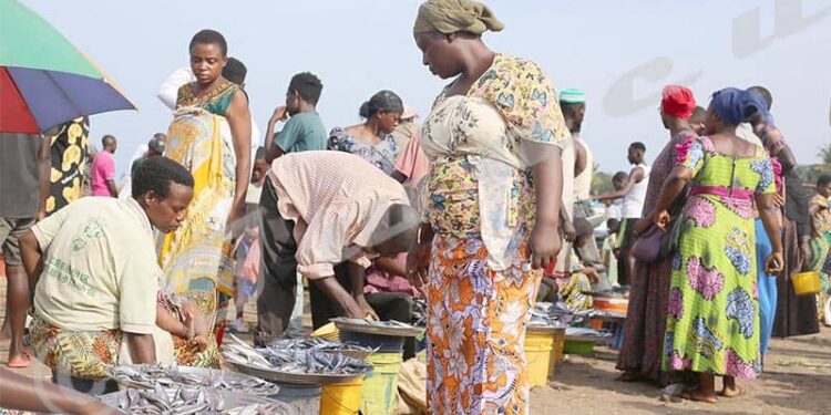 Burundi : Les femmes du lac Tanganyika en lutte pour leur autonomie