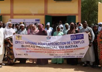 Batha : l’ONAPE et le BIT lancent une formation en entrepreneuriat et AGR pour les jeunes et les femmes à Ati