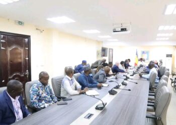 Tchad: Séance de Restitution sur l’Éradication de la Poliomyélite à N’Djamena