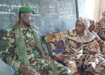 Lac : Synergie pour la paix et le développement entre le Tchad et le Niger