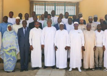 Tchad : Le PAGESE engage une évaluation stratégique du système douanier SYDONIA World dans le cadre des réformes en cours