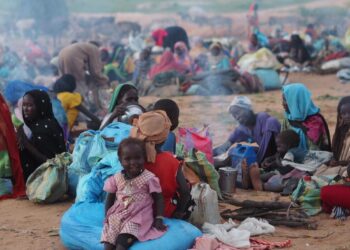 Tchad : Appel pressant à la paix face à la crise humanitaire au Darfour