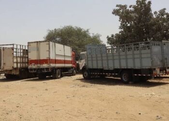 Tchad : Chauffeurs en colère, le couvre-feu des gros porteurs fait grincer des dents à N’Djamena