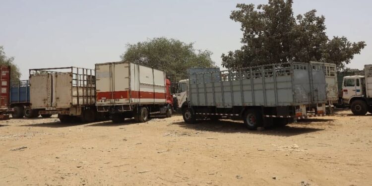 Tchad : Chauffeurs en colère, le couvre-feu des gros porteurs fait grincer des dents à N’Djamena