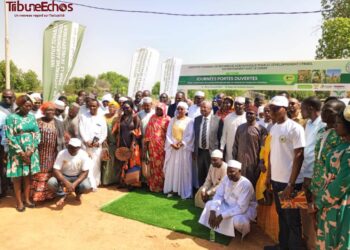 Tchad : L&rsquo;ITRAD lance la 4e édition des journées portes ouvertes des parcs des technologies et d&rsquo;innovation.