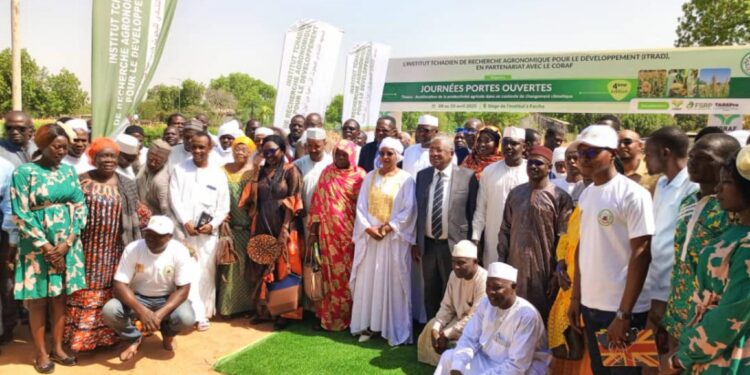 Tchad : L&rsquo;ITRAD lance la 4e édition des journées portes ouvertes des parcs des technologies et d&rsquo;innovation.