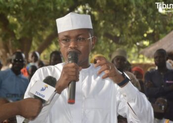 Tchad : Des mesures fortes pour contenir le conflit homme-faune dans la Tandjilé