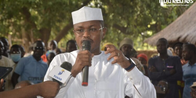 Tchad : Des mesures fortes pour contenir le conflit homme-faune dans la Tandjilé