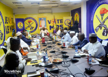 Tchad : Installation officielle du Comité Scientifique du MPS pour la réalisation d&rsquo;un complexe comprenant une Bibliothèque, un Musée et une salle de conférence.