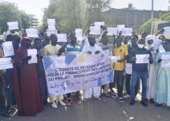 Projet 50.000 emplois : Les candidats malheureux exigent la restitution de leurs dossiers