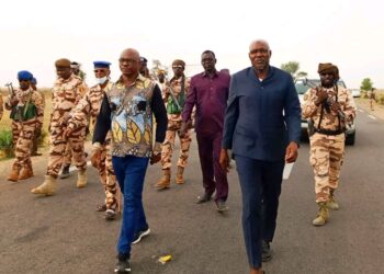 Tchad: Le Ministre de l&rsquo;Élevage à Bongor pour évaluer la campagne de vaccination