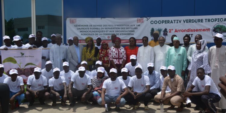 N’Djaména : 196 jeunes formés par le FONAP en préparation de moteurs monocylindriques et aux organisations agricoles reçoivent des kits d&rsquo;insertion.