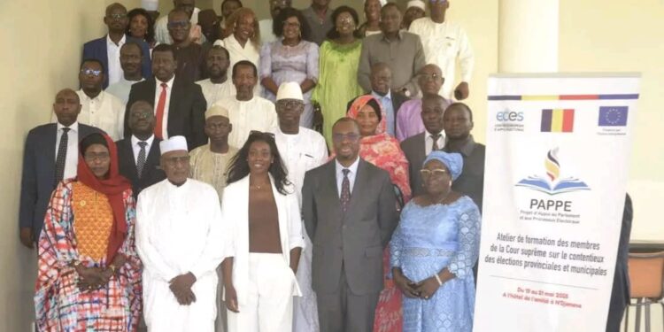 Tchad : Le PAPPE-Tchad renforce la capacité des Membres de la Cour Suprême dans le domaine du contentieux électoral