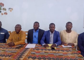 Tchad: les ressortissants de Kolon et Baktchoro dénoncent une tentative de spoliation de 30 014 hectares de terres