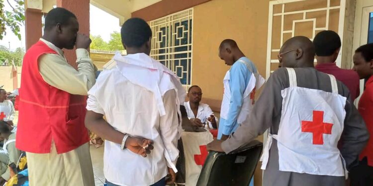 Tchad : La Croix-Rouge renforce le CNTS avec 184 poches de sang