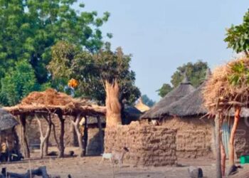 Logone occidental : 35 morts et 6 blessés dans un tragique affrontement à Mandakao, le Gouvernement appelle à la paix