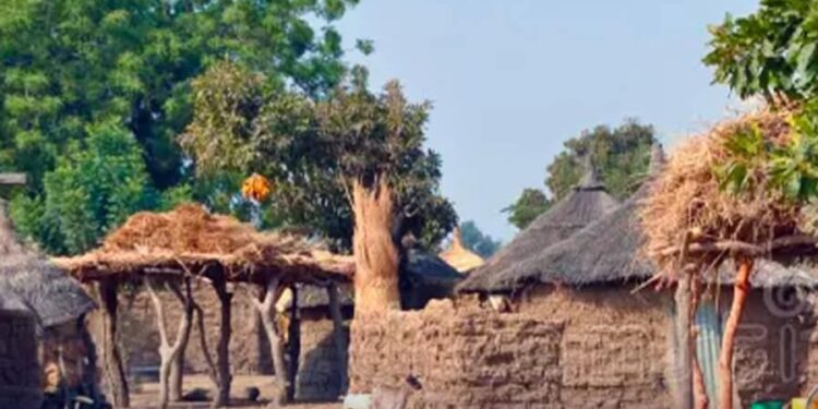 Logone occidental : 35 morts et 6 blessés dans un tragique affrontement à Mandakao, le Gouvernement appelle à la paix