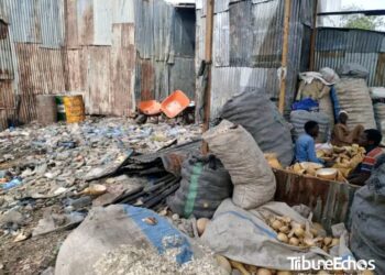 N&rsquo;djamena : Le marché de Dembé tiraillé entre l&rsquo;insalubrité et l’incivisme