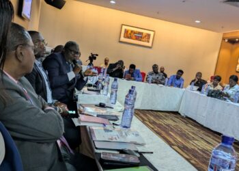 RDC : Sicomines sous pression, l’ECOFIN promet d’intensifier l’examen du rapport accablant du CNPAV