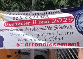N&rsquo;djamena : Les opérateurs économiques élisent les représentants de la CCIAMA