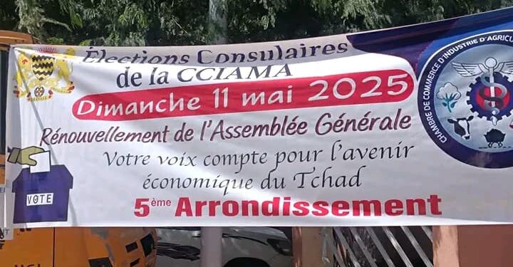 N&rsquo;djamena : Les opérateurs économiques élisent les représentants de la CCIAMA