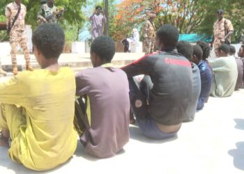 Logone Oriental : 11 présumés malfrats interpellés, dont 4 armés de fusils AKM dans le Mont de Lame