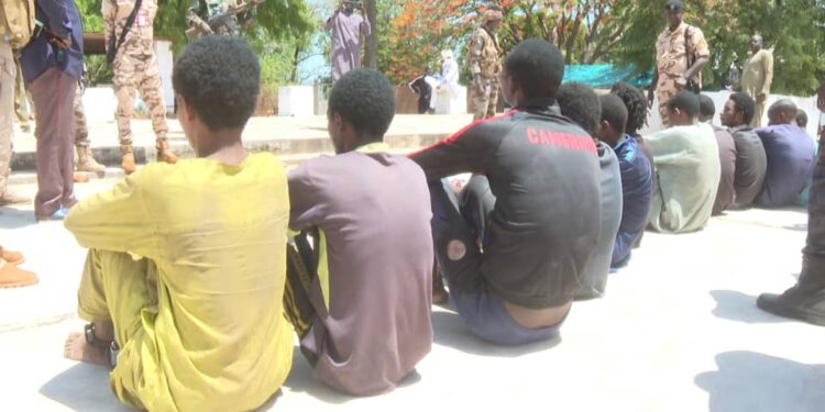 Logone Oriental : 11 présumés malfrats interpellés, dont 4 armés de fusils AKM dans le Mont de Lame