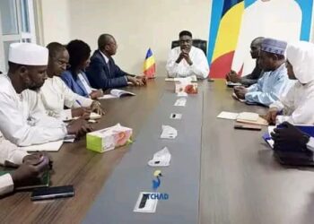 Cooperation: Renforcement des relations entre le Tchad et la Côte d’Ivoire dans le secteur de l’élevage