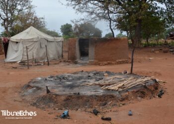 Logone Occidental : Tragédie de Manda-kao, un carnage au cœur de la Communauté