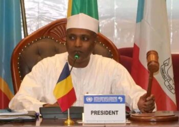 Le Tchad prend la présidence de l&rsquo;UNSAC