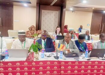 Niamey: Une délégation tchadiennne prend part à l’Atelier de Validation du Plan Stratégique 2025-2033 de l’Autorité du Bassin du Niger