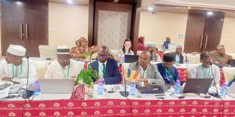 Niamey: Une délégation tchadiennne prend part à l’Atelier de Validation du Plan Stratégique 2025-2033 de l’Autorité du Bassin du Niger