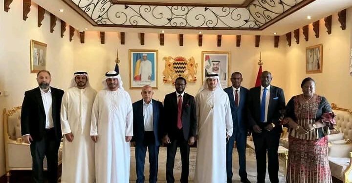 L’Ambassadeur du Tchad aux EAU reçoit le PDG de la société Global South Utilities