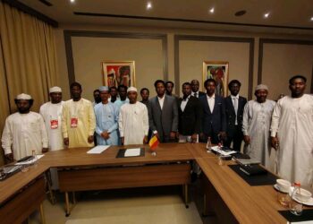 Échange entre Dr Abdoulaye Sabre Fadoul et les étudiants tchadiens en Türkiye, Chypre et Azerbaïdjan