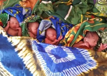 Tchad : Naissance de Quadruplés à Pala, la Famille Lance un Cri du Cœur