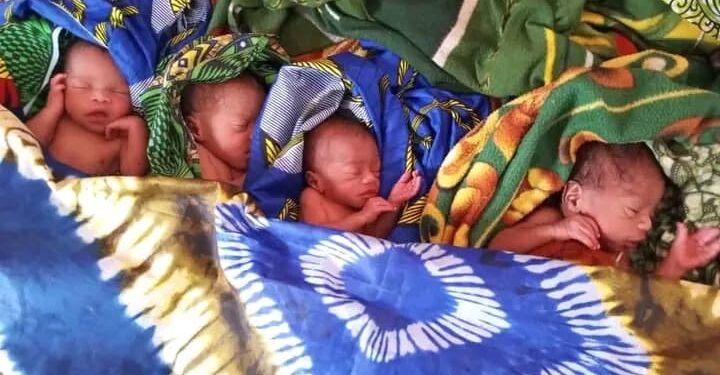 Tchad : Naissance de Quadruplés à Pala, la Famille Lance un Cri du Cœur