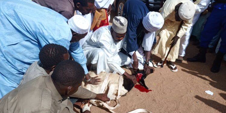 Guera : Les musulmans de Mongo célèbrent la fête de la Tabaski