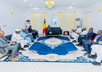 Tchad : Une équipe du GPPT reçue par le Premier Ministre