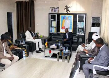 Tchad : Le Ministre de l&rsquo;énergie reçoit une délégation de TRANSLON