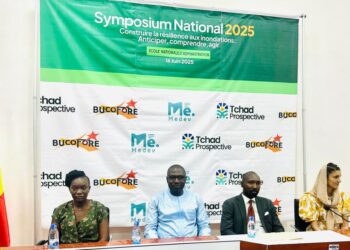 Tchad: le MEDEV organise un symposium national sur la résilience face aux catastrophes naturelles