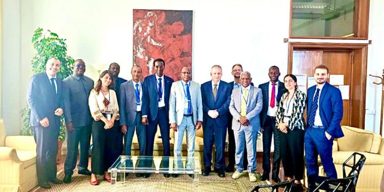 Tchad : Les Services du Médiateur de la République en séance de travail pour renforcer la coopération avec l’Italie